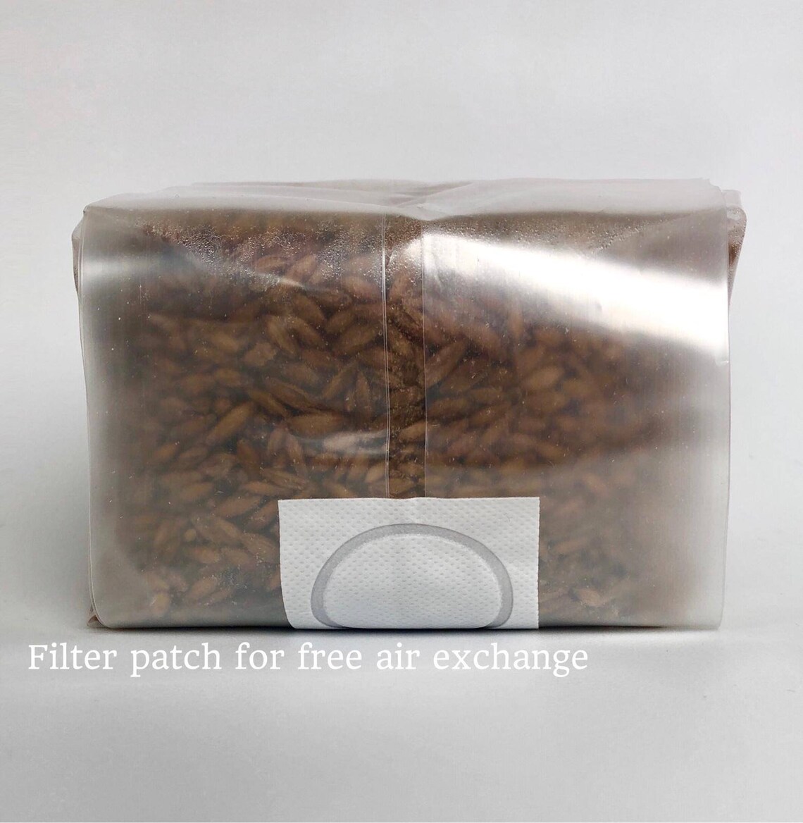 1kg Sterile Injectable Mushroom Grow Bag/Grow Kit Etsy