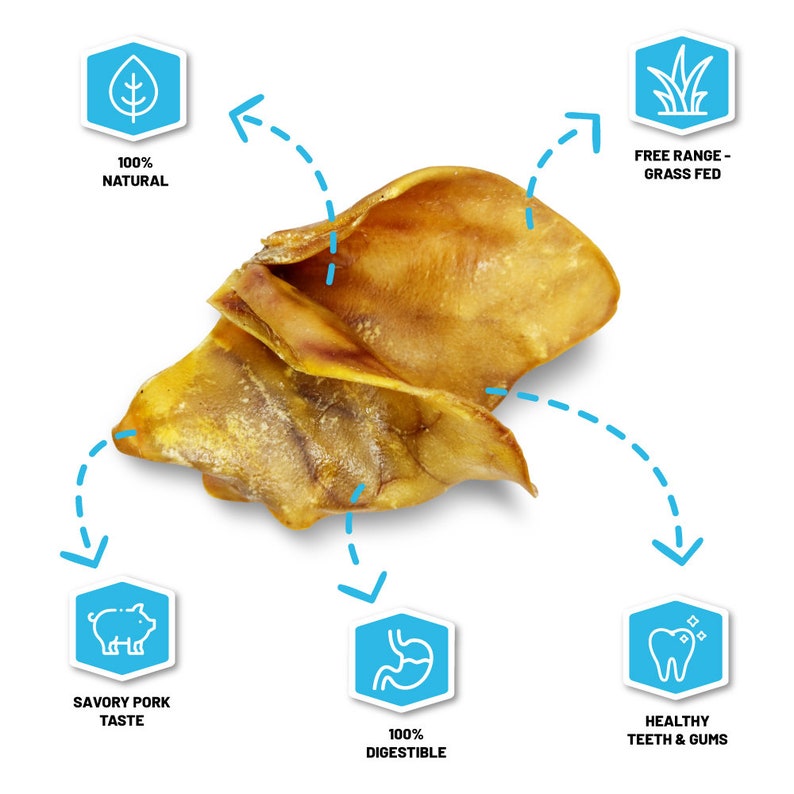 Pig Ears for Dogs 100 Natural Great for Medium and Large Dogs Etsy