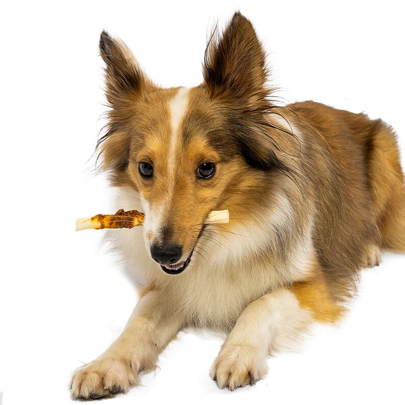 Rawhide Twist 5 Chicken Breast Dog Treat Reward and Etsy