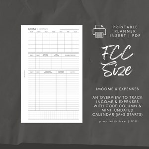 018 | Income & Expenses | Printable Planner Insert | FCC | Plan With Bee | Instant Download