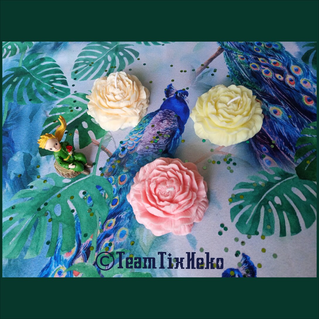 Bougie Naturelle Floraison de Pivoine