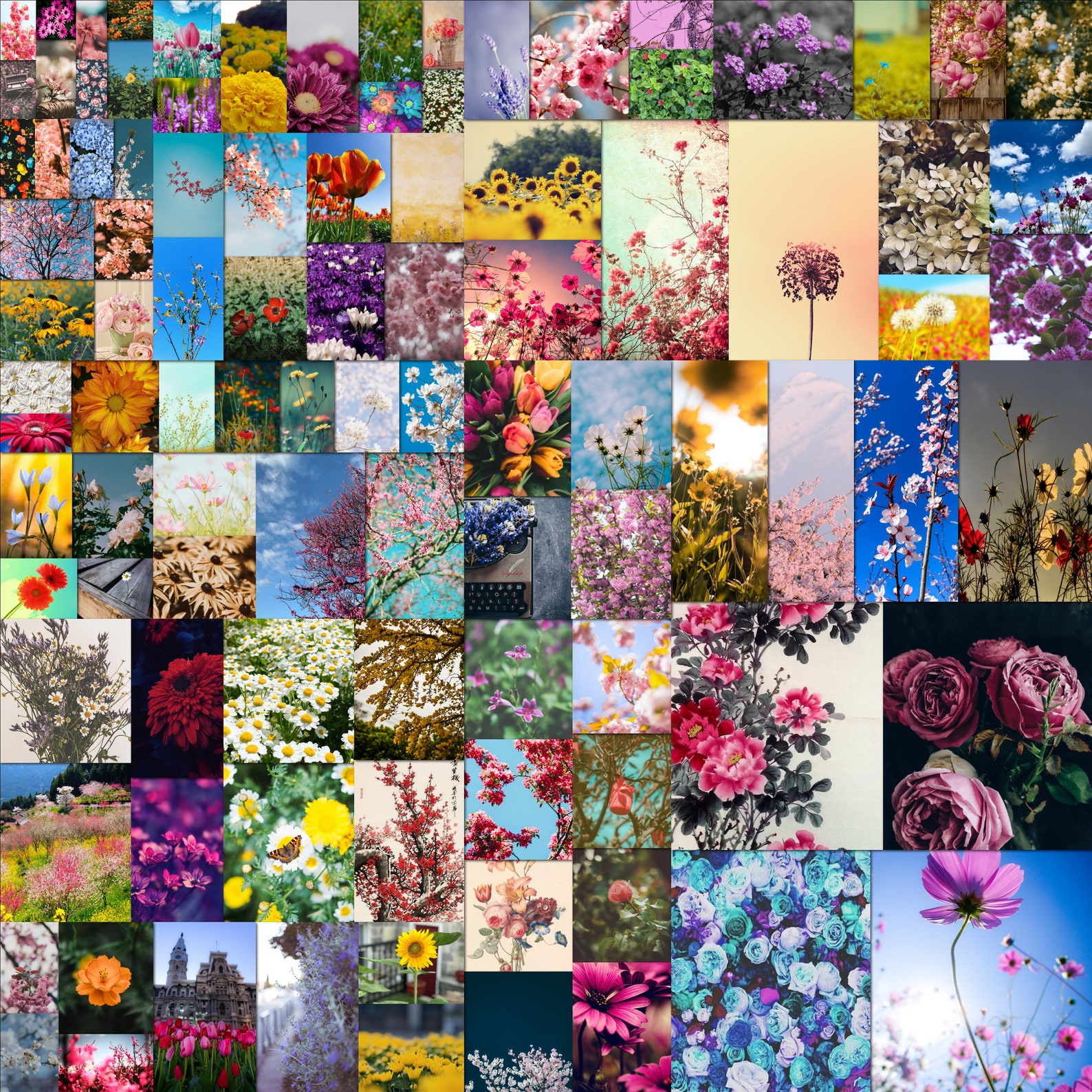 Flowers Wall Collage Kit Spring Collage Flower Collage Etsy