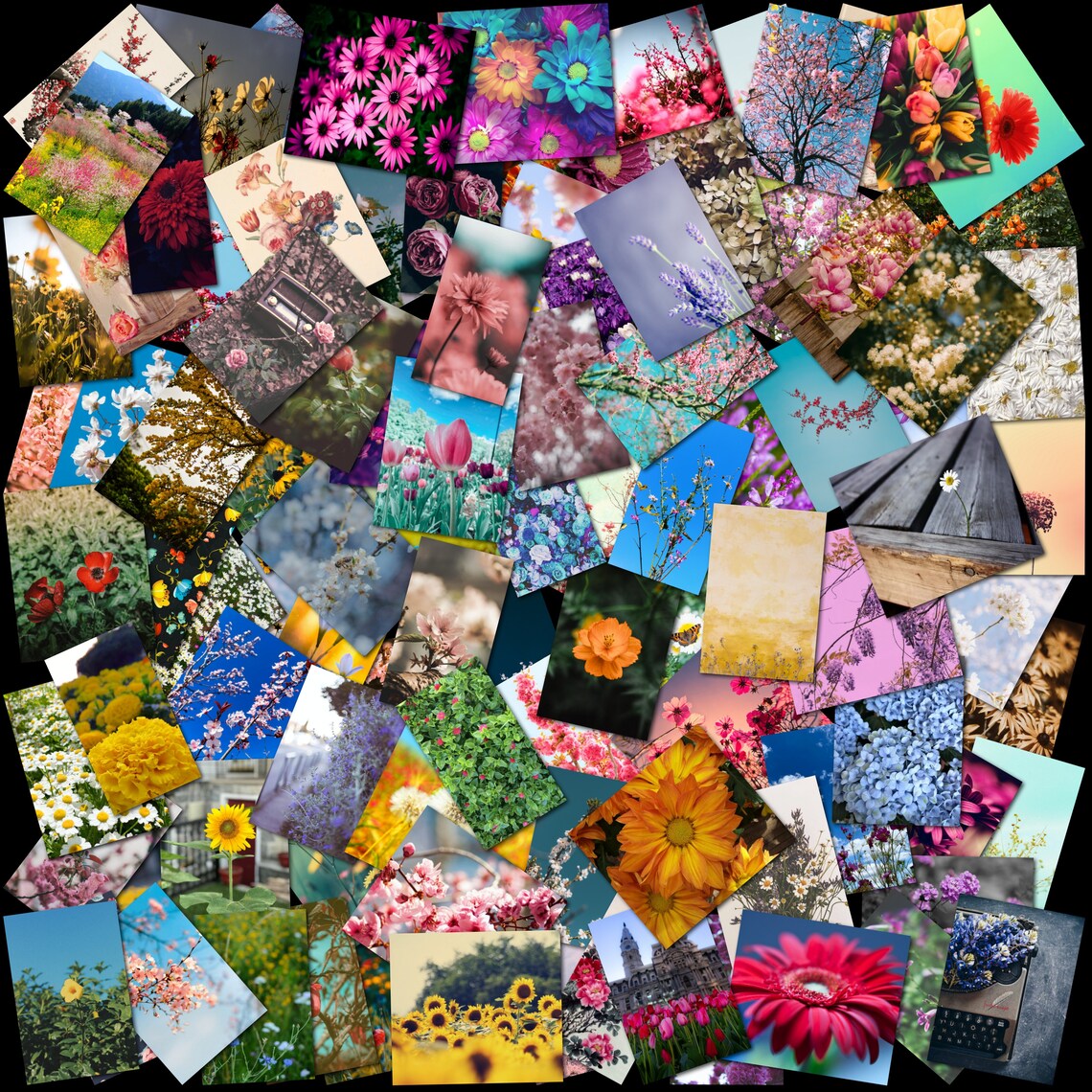 Flowers Wall Collage Kit Spring Collage Flower Collage Etsy
