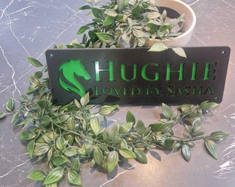New Colour Laser Signs