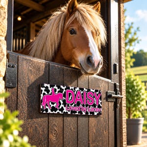 May include: A rectangular sign with a black and white cow print background, featuring a bright pink silhouette of a horse and rider, the name DAISY in large pink letters, and the text Loved by Lacey, mounted on a dark brown wooden stable door.