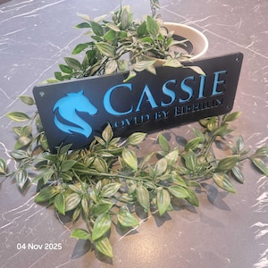 May include: A rectangular black sign featuring a cutout of a horse head silhouette and the text CASSIE LOVED BY EIBHILIN in bright blue. The sign has small circular holes in the corners and is surrounded by green leafy vines and a small white bowl.