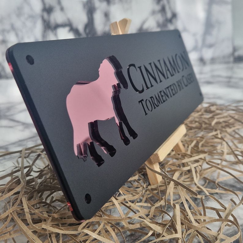 May include: Black acrylic sign with a pink horse silhouette and the text "CINNAMON TORMENTED BY CASH"