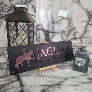 May include: Black metal sign with a silhouette of a rider on a horse. The sign reads "JAGUAR OWNED BY AIDEN" in pink lettering.