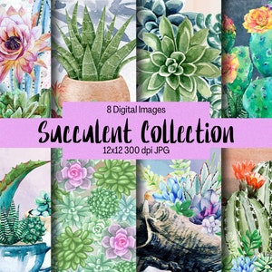 Succulent Collection Digital Paper - Scrapbook Paper - Decoupage Paper - Digital Backgrounds  - Digital Scrapbook Paper - Succulent Papers