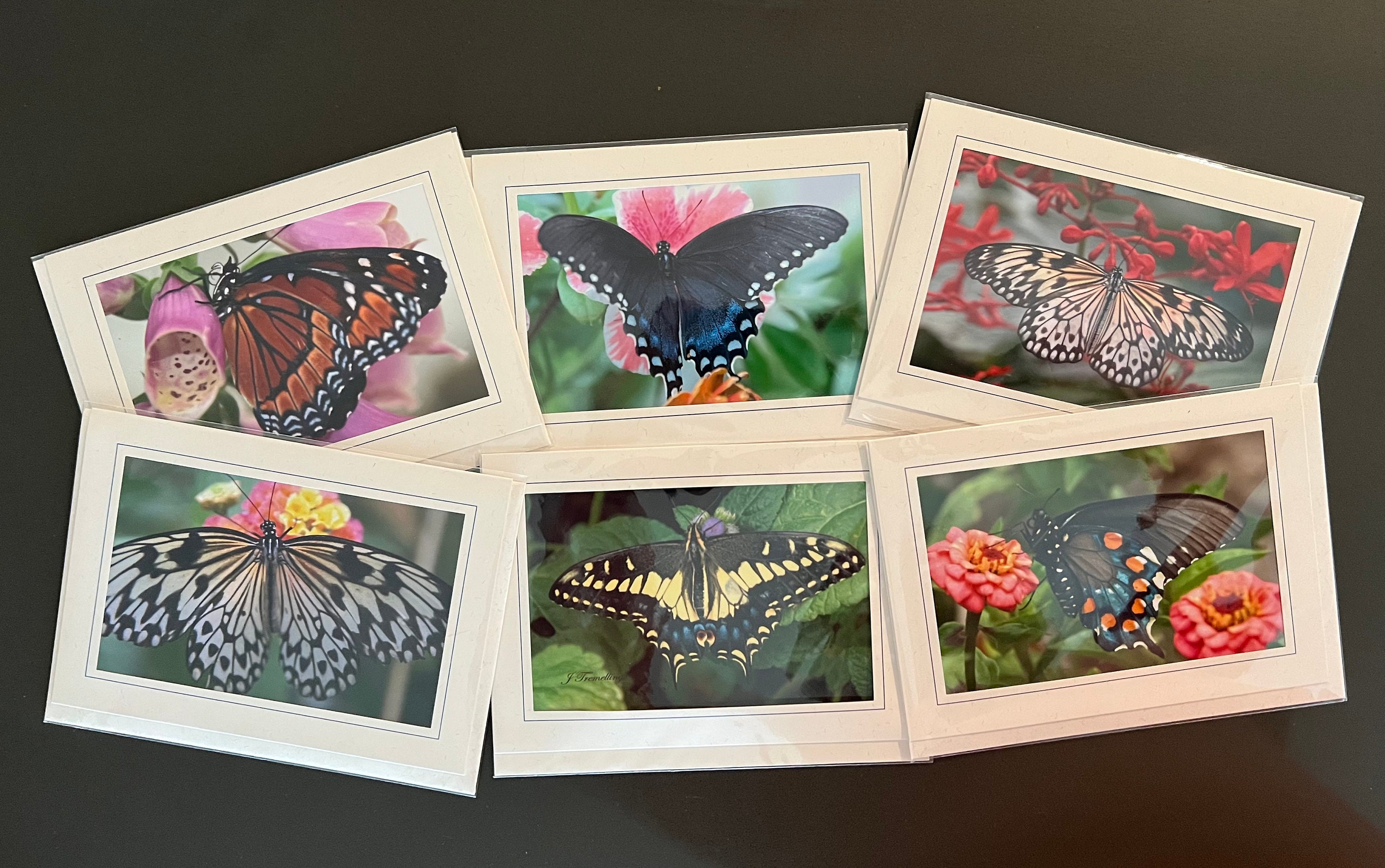 6 Photo Butterfly Blank Cards W/ Match Envelope - Etsy