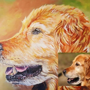 Tierportrait, Tierportrait, Hundeportrait, Hundeportrait, Hundeportrait, Hundeportrait, Hundeportrait