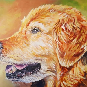 Tierportrait, Hundeportrait, Hundeportrait, Hundeportrait, Hundeportrait, Hundeportrait, Hundeportrait