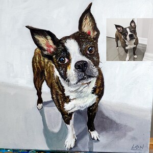 Hundeportrait, Hundeportrait, Hundeportrait, Hundeportrait, Hundeportrait, Hundeportrait, Hundeportrait