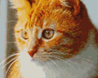 Cat cross stitch pattern, kitten cross stitch, ginger cat cross stitch
