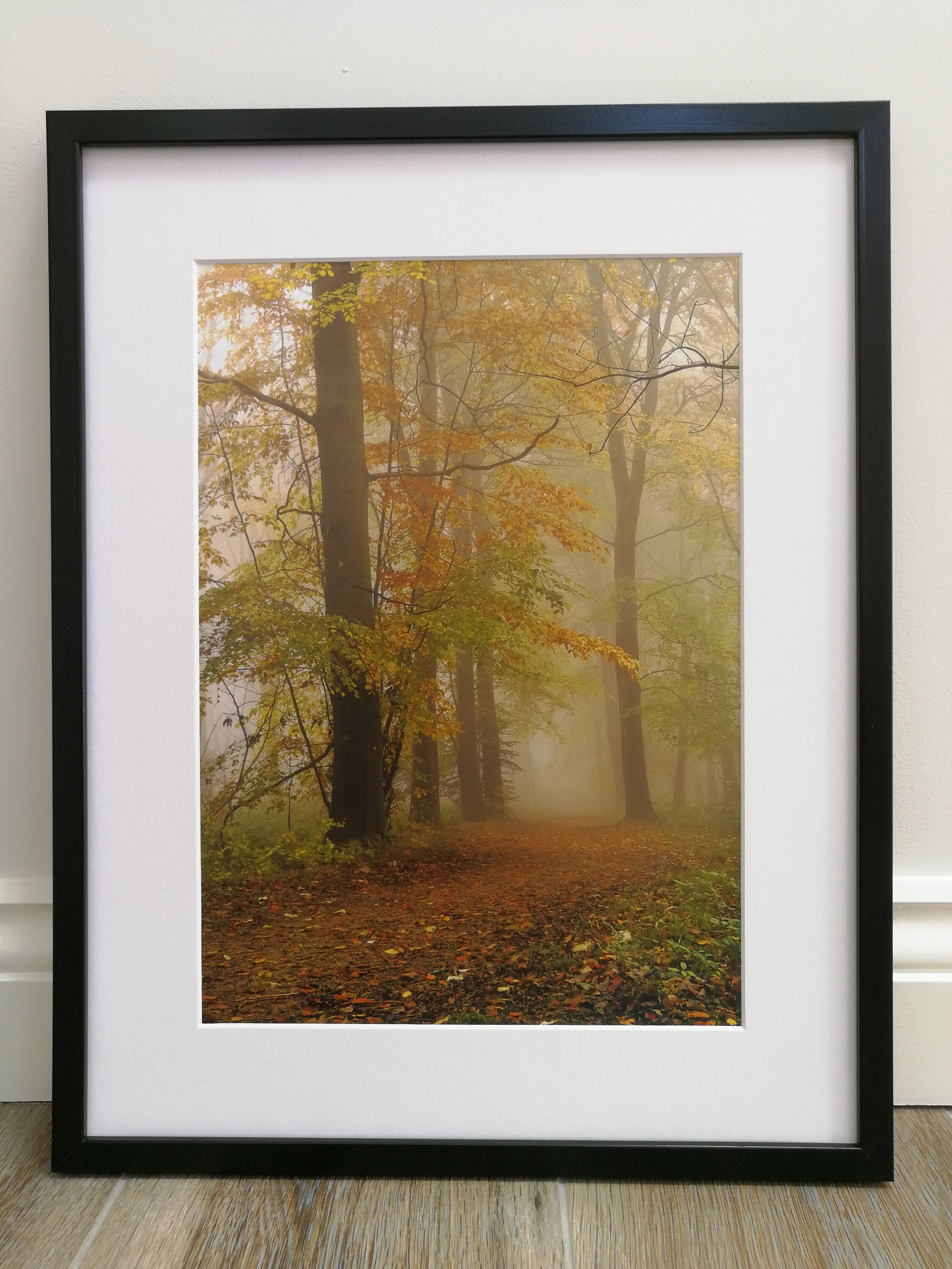 Autumn Glory /Fine-Art Print /Woodland Print / Landscape | Etsy