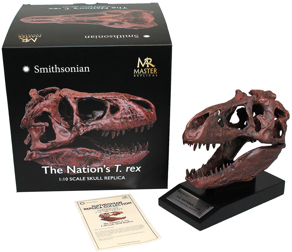 Smithsonian Nation's T.rex Skull Tenth Scale 1/10th Fossil Replica