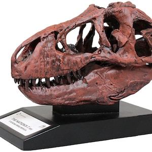 Smithsonian Nation&#39;s T.rex Skull Tenth Scale 1/10th Fossil Replica