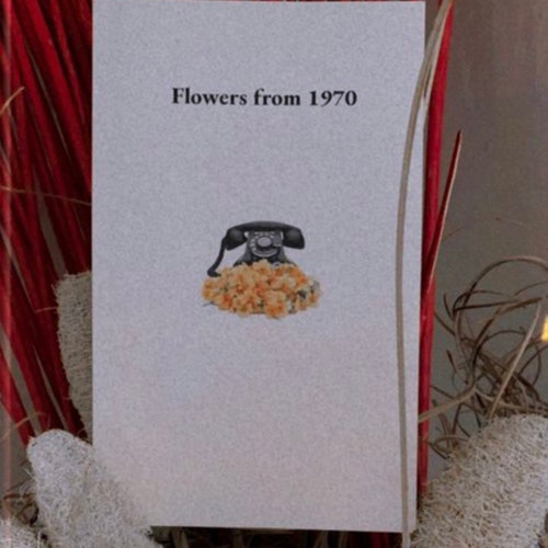 Flowers From 1970 Shoes Etsy Canada