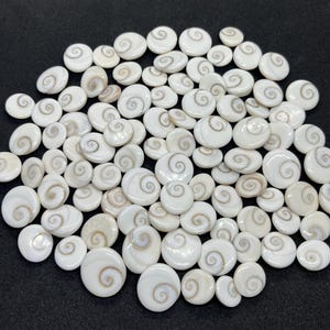 Shiva Eye Shell Gemstone Cabochon Rare Quality 100% Natural Shiva Eye Seashell Gomti Chakra Jewelry Making Round Shape Gomti Chakra Seashell