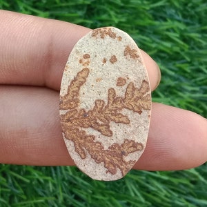 Natural Dendrite Agate Cabochon: Oval Gemstone Display (35X20X5MM, 36 Carat)