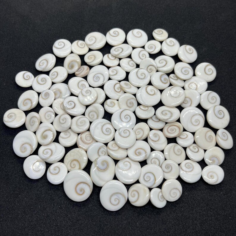 Natural Shiva Eye Shell Cabochons: Round Gomti Chakra Gemstone - Etsy