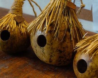 Pumpkin Birdhouses