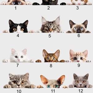 May include: A collection of twelve different cat faces peeking over a white surface. The cats vary in color and breed, including black, calico, Siamese, and tabby patterns. Each cat has a unique expression, with their paws visible.
