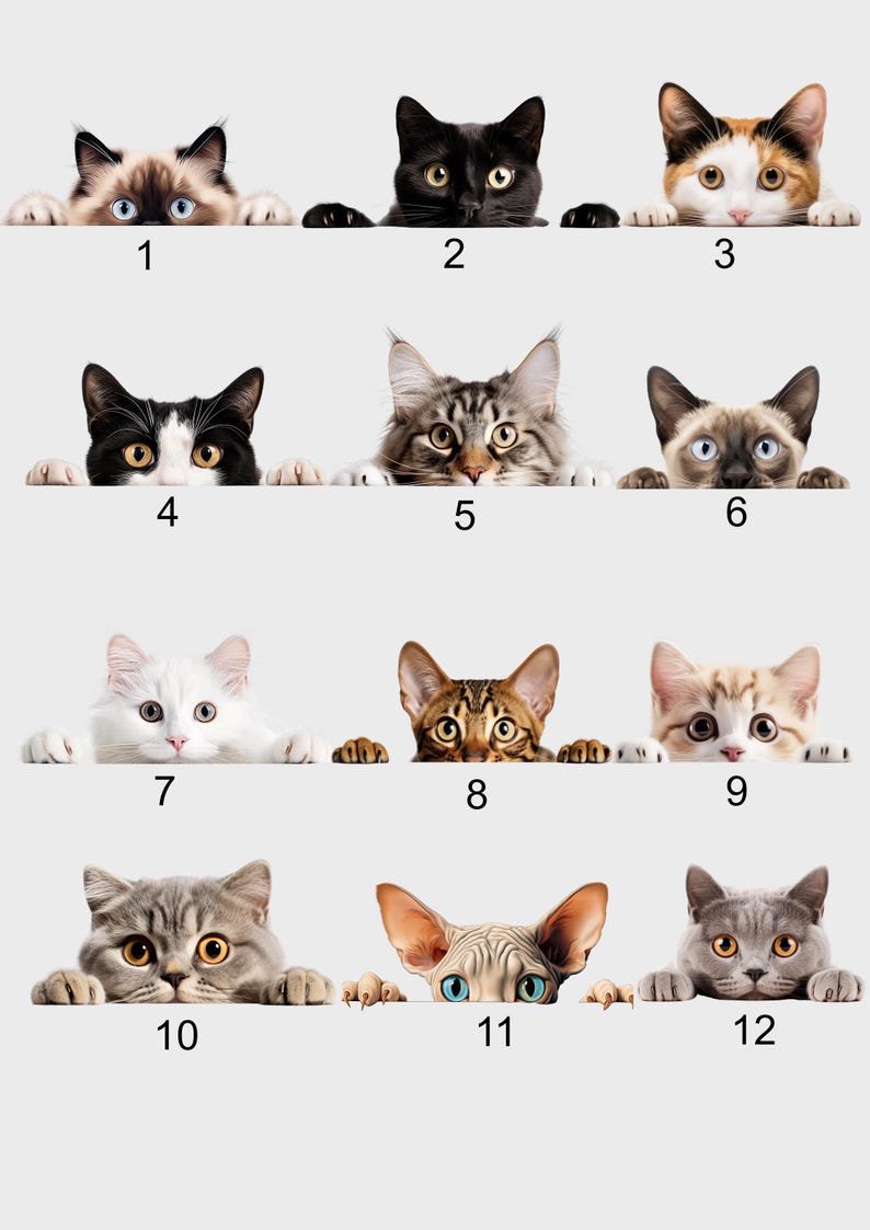 May include: A collection of twelve different cat faces peeking over a white surface. The cats vary in color and breed, including black, calico, Siamese, and tabby patterns. Each cat has a unique expression, with their paws visible.