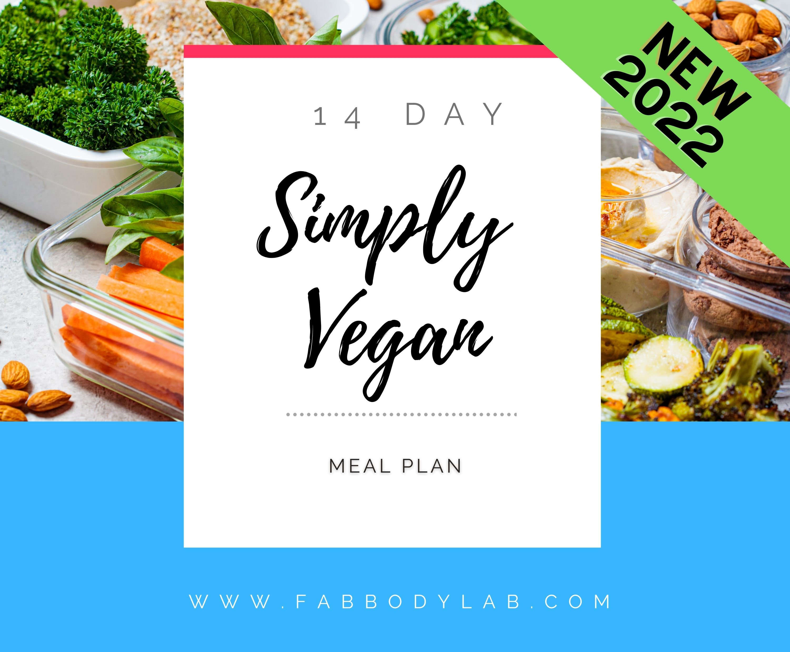 Diet Meal Plan - Etsy