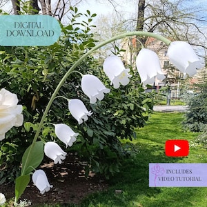 Peut inclure: Téléchargement numérique d'une composition florale blanche en forme de cloche, avec des tiges et des feuilles vertes. L'image comprend le texte "TÉLÉCHARGEMENT NUMÉRIQUE" et "INCLUT UN TUTO VIDÉO". Les fleurs sont placées devant un fond de feuillage vert et d'une zone herbeuse.