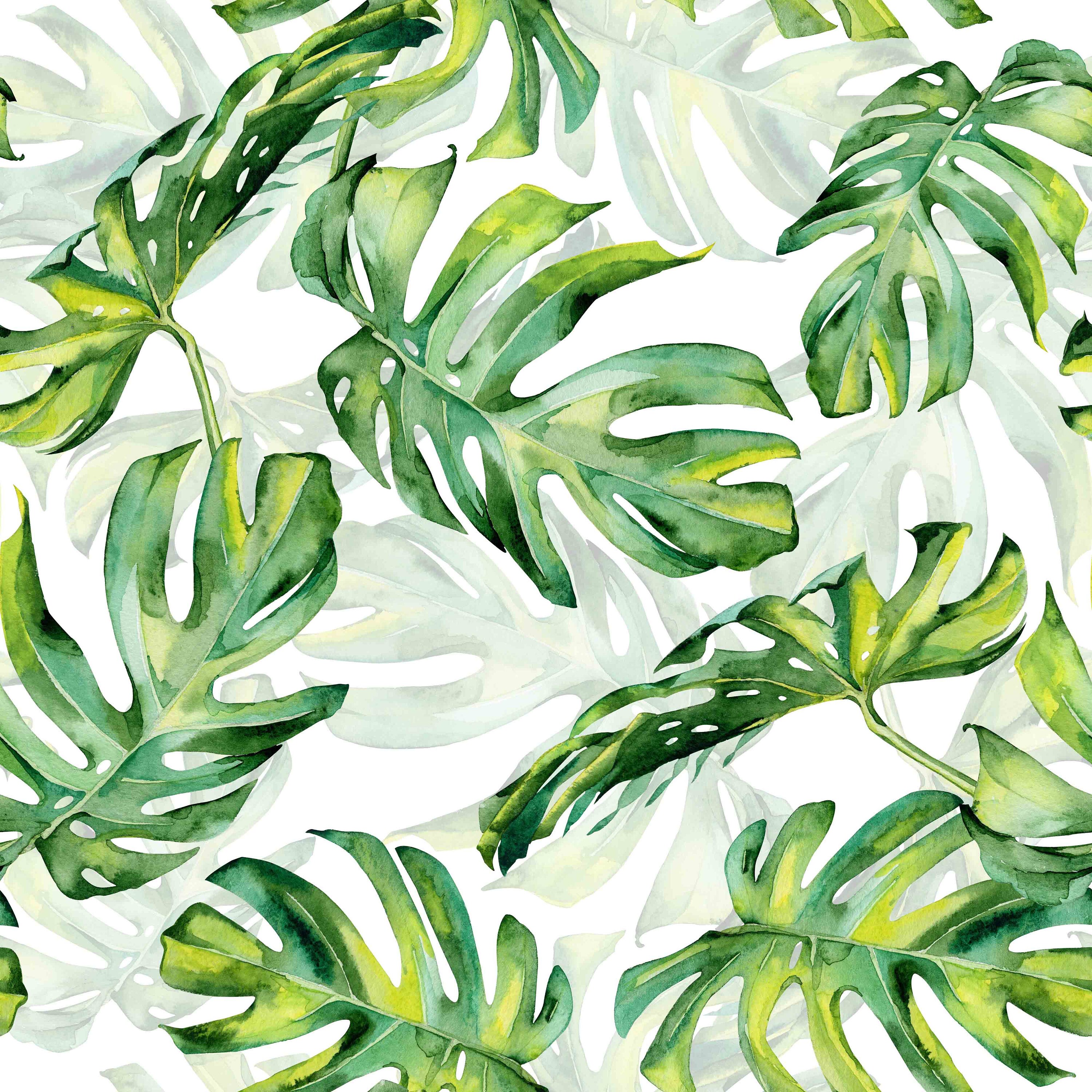 Monstera Peel and Stick Wallpaper Tropical Wallpaper Leaf Removable