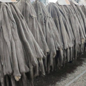 Natural Grey Silver Mink Fur Skin/Pelt