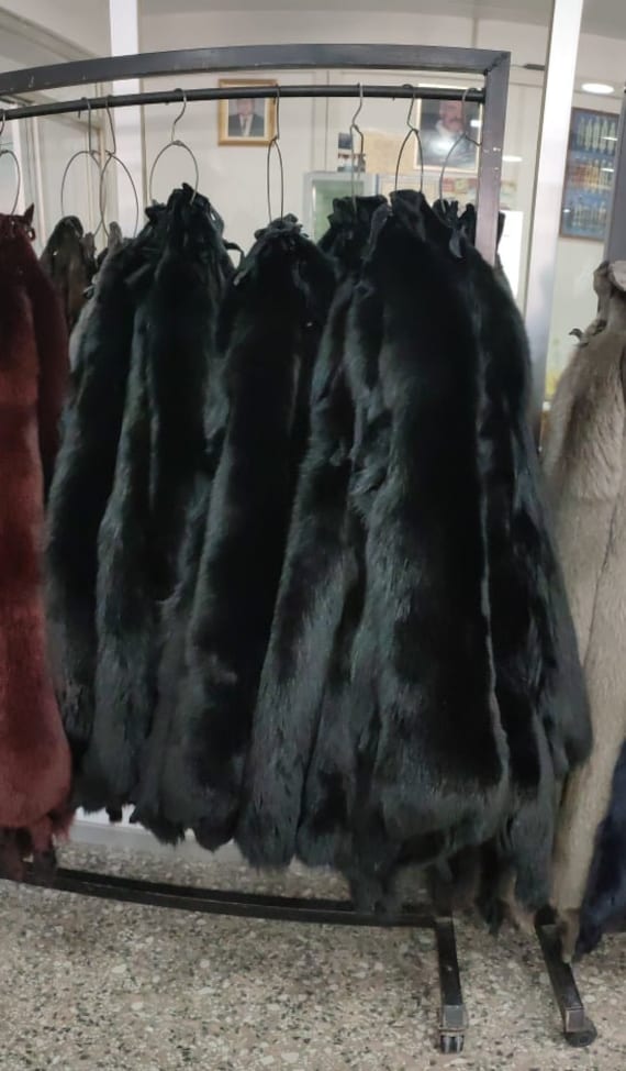 Black fox fur discount