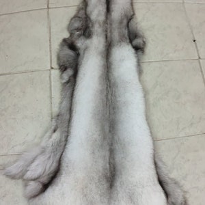 Blue Fox Fur Skin/Pelt