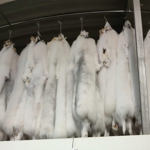 Artic Marble Fox Fur Skin / Pelt