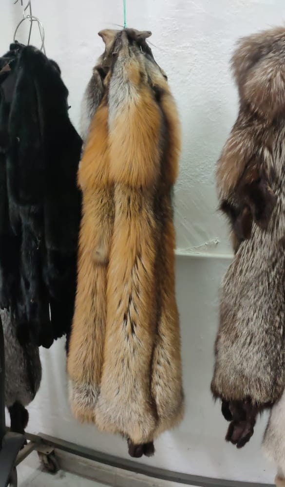 Smokey Cross Fur Fox Skin/Pelt