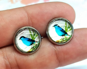 Exotic bird stud earrings, bird lover gift, animal jewelry, bird studs, hypoallergenic stainless steel
