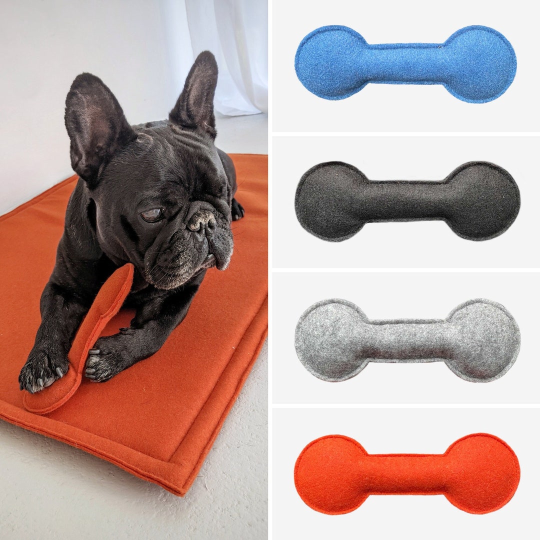 The 12 Best Dog Toys, According To Our Pups Reviews By Wirecutter