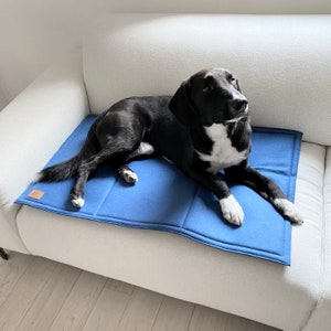 Op de afbeelding: Een blauw dierenbed met een gewatteerd ontwerp. Een zwart-witte hond ligt op het bed op een witte bank. Het bed heeft een bruin leren label in de hoek.