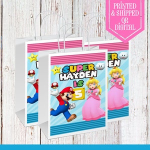 Mario and Peach Party Bags - Gift Bags - Super Mario Party - Super Mario - Video Game Birthday - Super Mario Favors - Favor Bags - Gift Bags