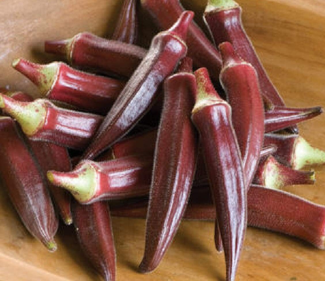 Free Shipping 50 200 Burgundy Red Okra Vegetable Seeds Etsy India