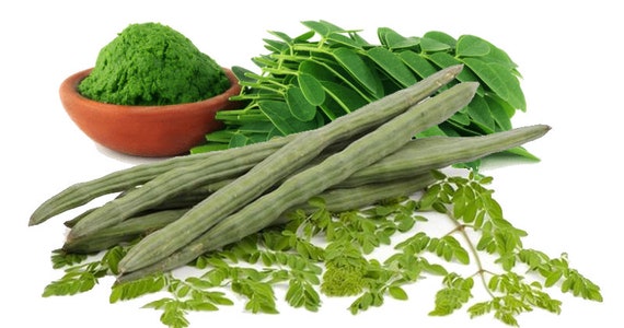 Free Shipping 20 Ceylon Moringa Oleifera Drumstick Seeds Non-gmo for  Sprouting Planting. Known as Mulaga Murungai Murunggi Health Superfood -  Etsy