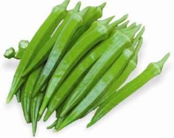 Gratis verzending, 40 Indiase desi okra-zaden hybride non-ggo voor curries Gumbo Fries-conservensoepen.  Lange 6" pods medium groen Bhindi Bendakaya