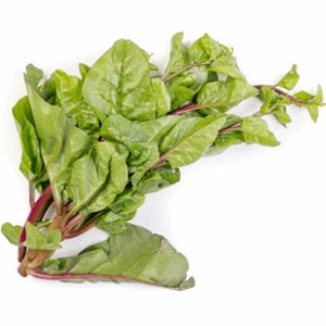 Könnte beinhalten: Ein Bund frischer grüner Malabar-Spinat mit roten Stielen.