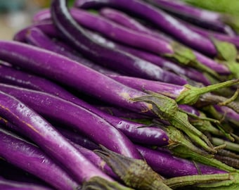 ENVÍO GRATIS: Más de 50 semillas de berenjena japonesa Long Desi, orgánica, sin OMG, de herencia. Berenjena larga azul oscuro para sándwiches de curry.