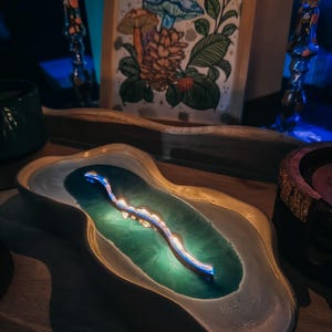 May include: A decorative tray with a gold rim and a green and blue interior, holding a glowing, branch-like object. A framed illustration of colorful mushrooms and foliage is in the background, along with other decorative items.