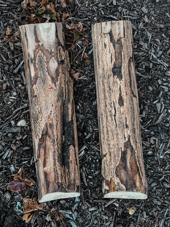 soldadura galón autómata Troncos tallados a mano / Tazones de masa de madera - Etsy México