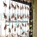 Wedding Decor Camel String, Indian Camel String, Housewarming Gifts ...