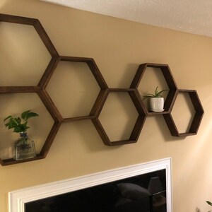 May include: Six dark brown, hexagonal wooden shelves are mounted on a beige wall. Two shelves hold small plants in glass and white pots. The shelves are arranged in a staggered pattern, creating a modern, geometric design.