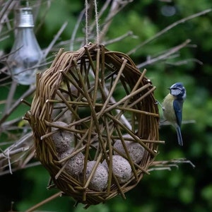 Hanging Willow Bird Feeder